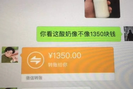 明山为什么选择专业追讨公司来处理您的债务纠纷？